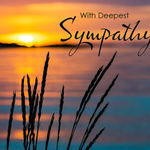 Writing Sympathy Cards: Words of Comfort and Compassion