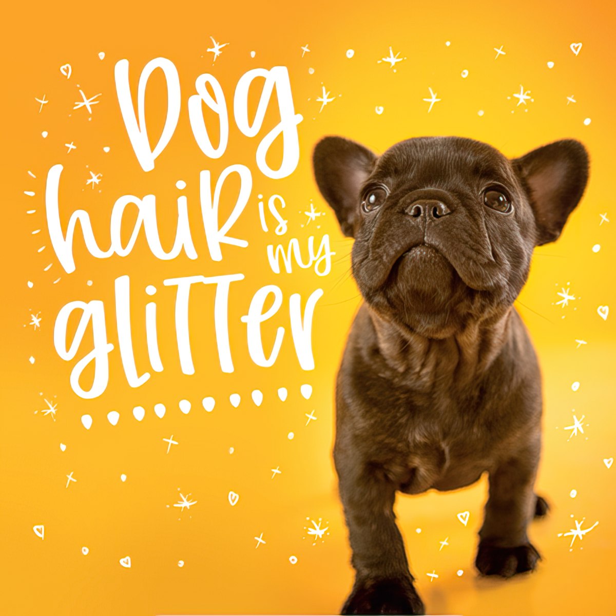 Funny 'Dog hair is my glitter' magnet featuring a cute black French Bulldog puppy on a bright orange background with white text.