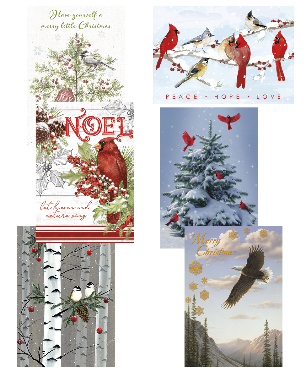 Holiday Birds Christmas Card Value Assortment