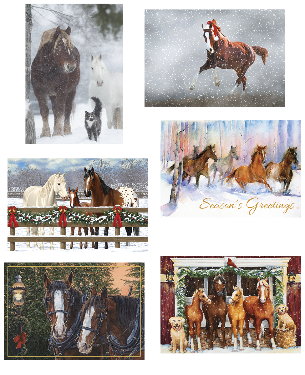 Holiday Horse Christmas Card Value Assortment
