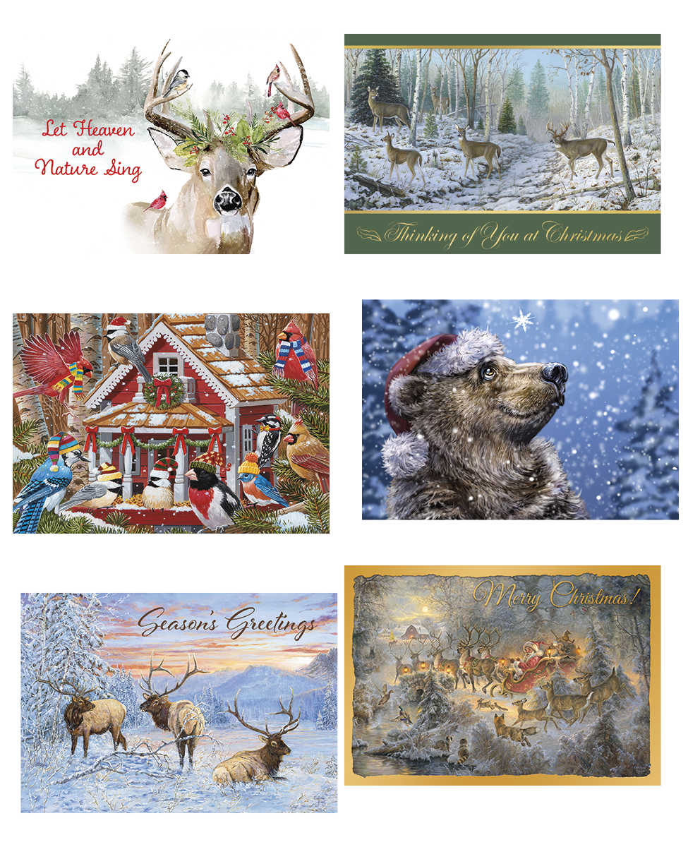 Wintery Wildlife Christmas Card Value Assortment