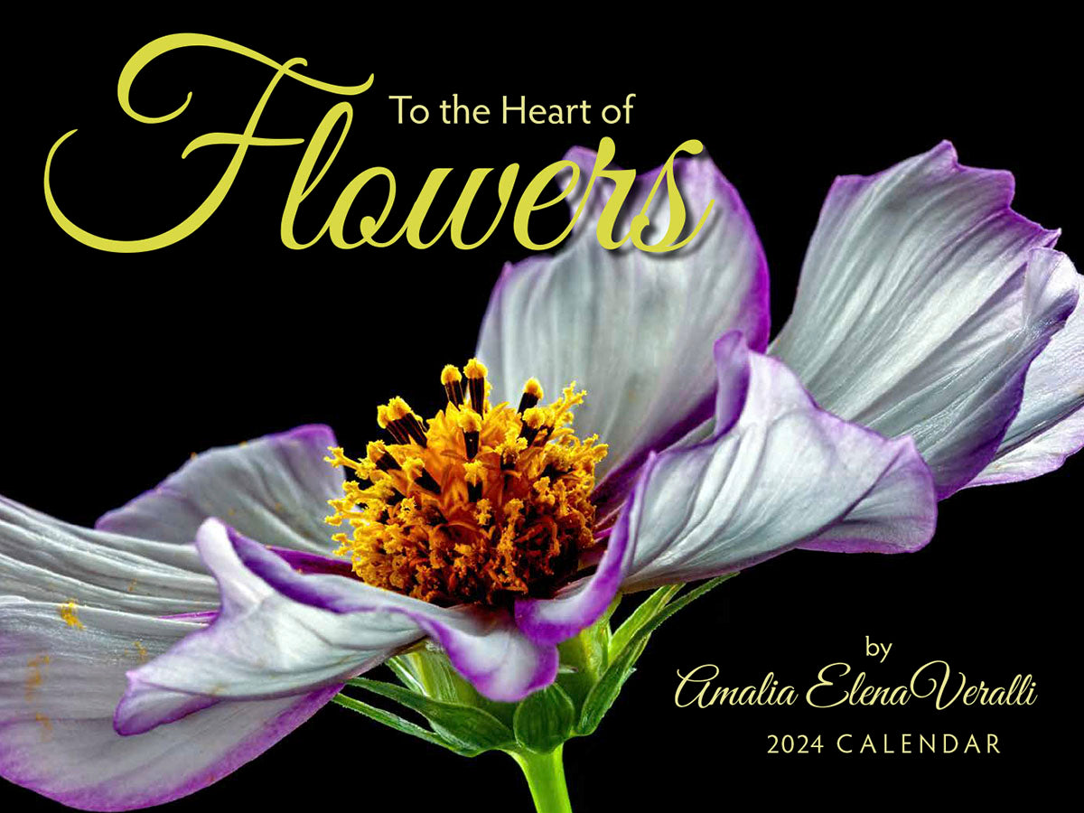 To the Heart of Flowers 2024 Wall Calendar