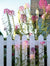 PINK AND WHITE FLOWERS AROUND FENCE