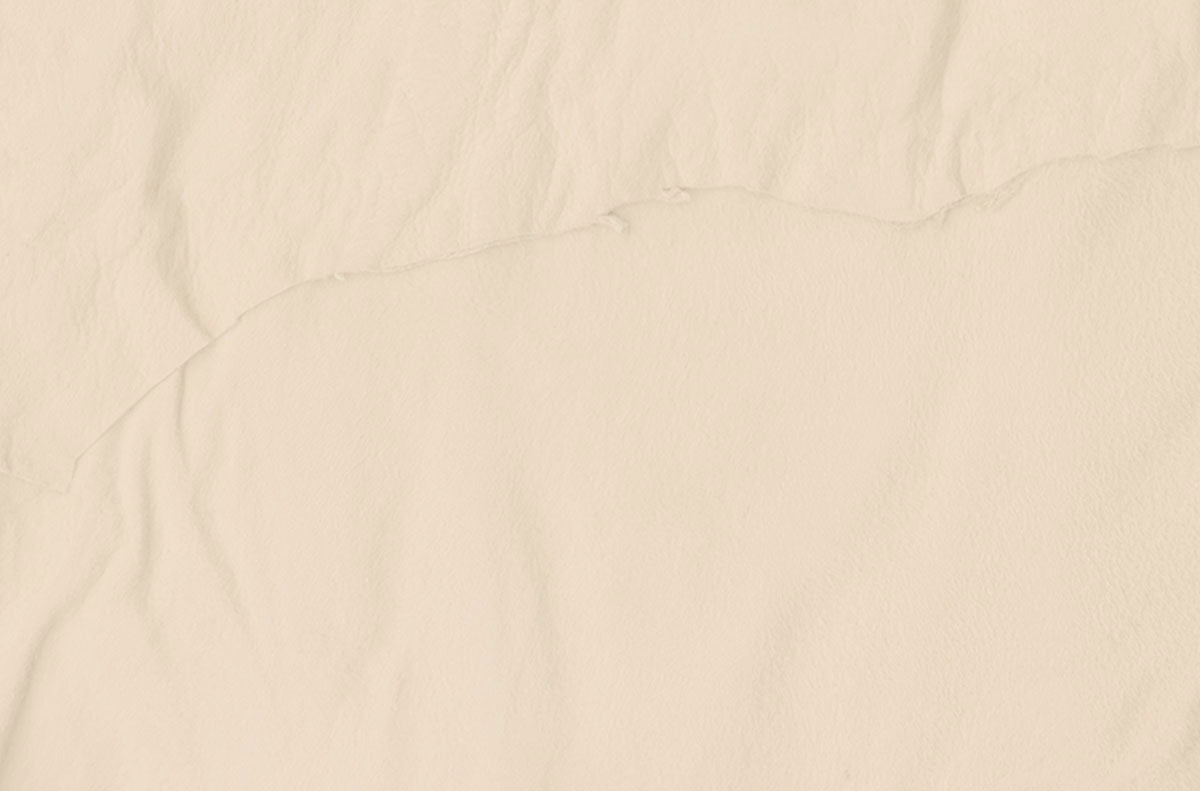 Close-up of a blank, textured cream-colored paper, likely the inside or back of a greeting card, showing subtle creases.