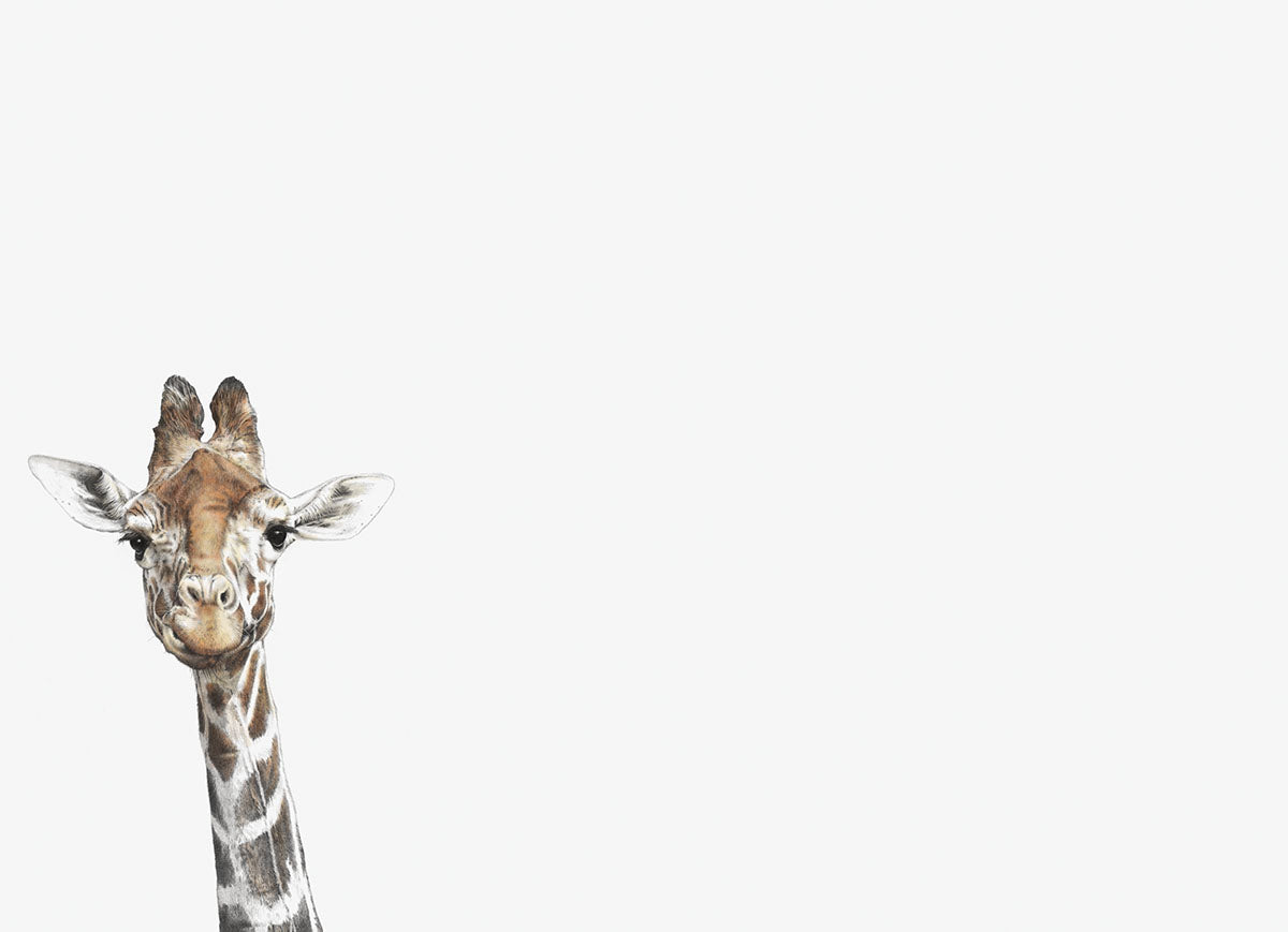 Drawing Of A Giraffe Blank Notecard