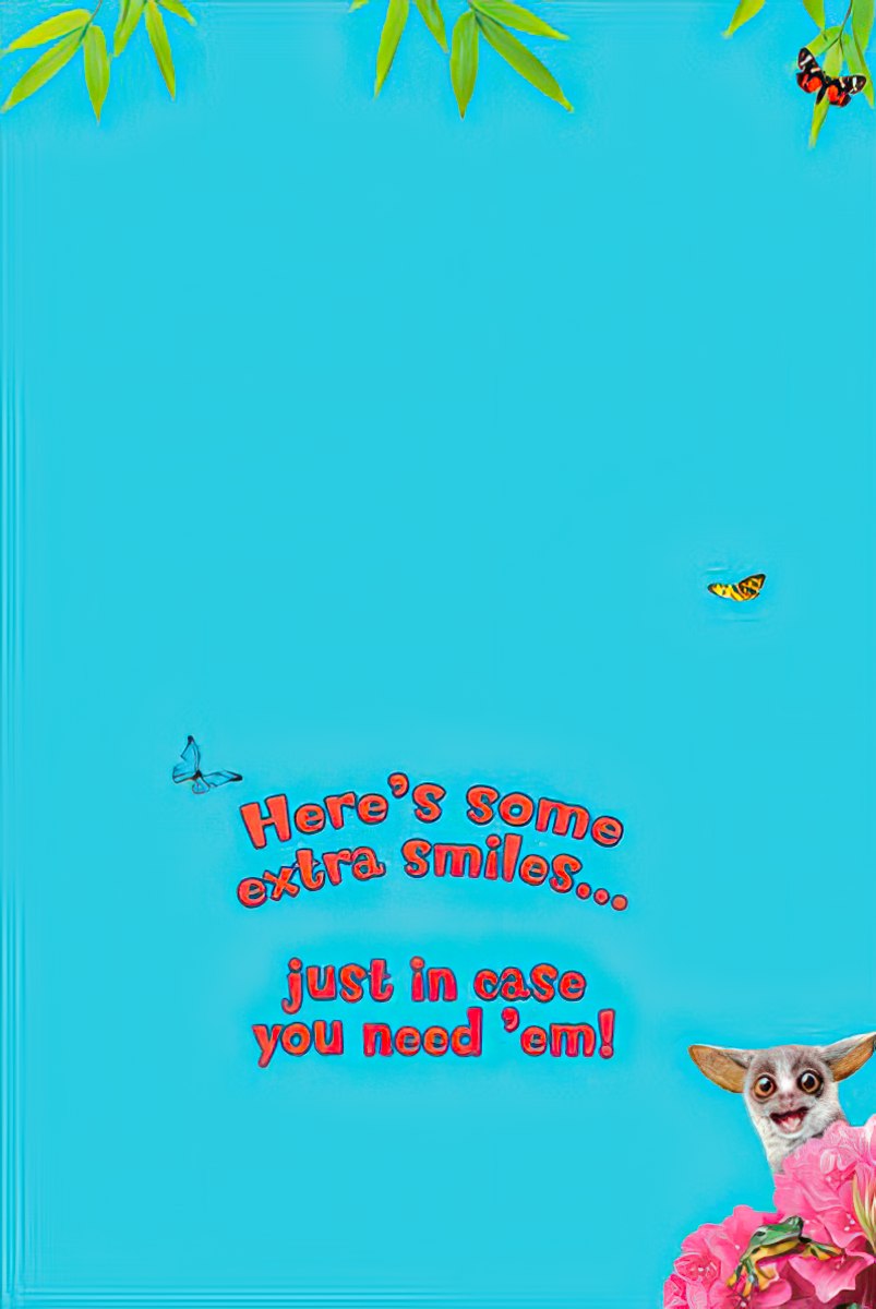 Light blue greeting card with text 'Here's some extra Smiles...just in case you need 'em!' and a peeking animal.