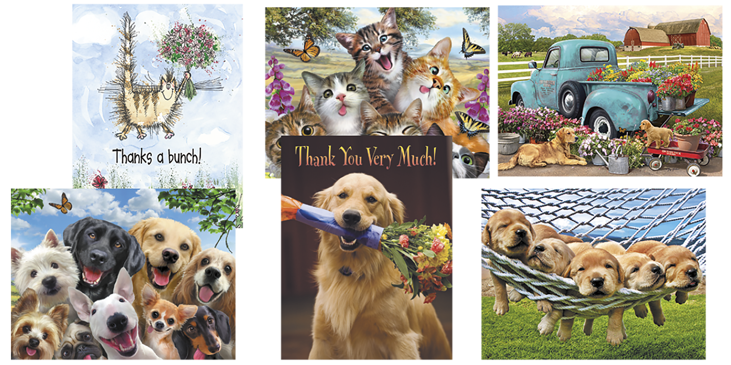 Cats & Dogs Blank Note Card Assortment