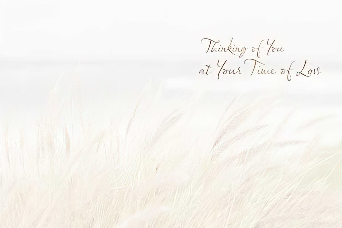 Inside of a Deepest Sympathy greeting card with a soft, ethereal grass background and the text 'Thinking of You at Your Time of Loss'.