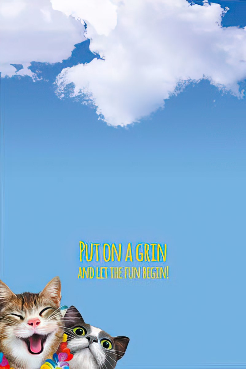 Inside of a lighthearted birthday card featuring two smiling cats and the message 'Put on a grin and let the fun begin!'