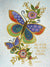 Pair of Butterflies with Flowers Friendship Card