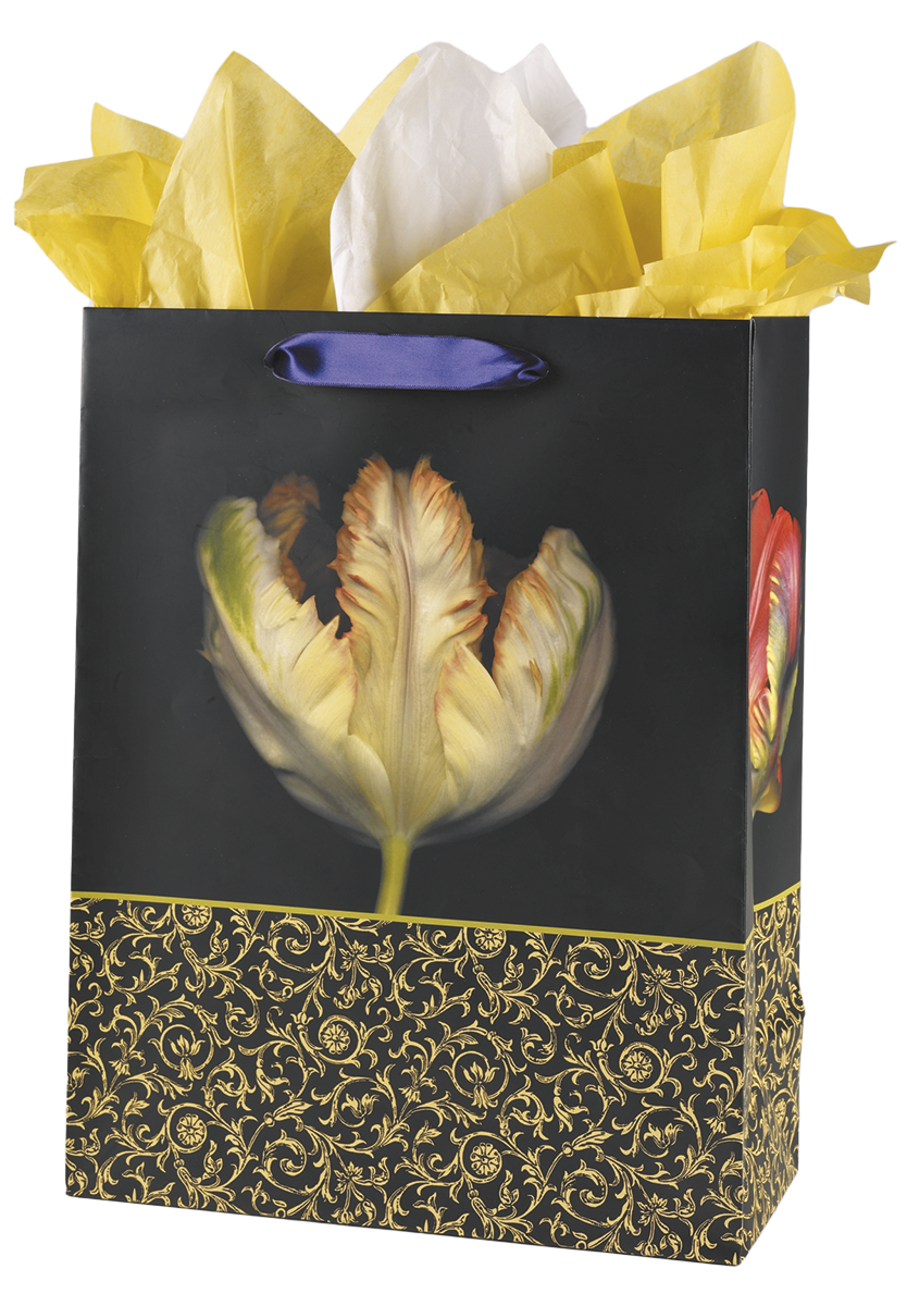 Tulip Gift Bag Set - Large