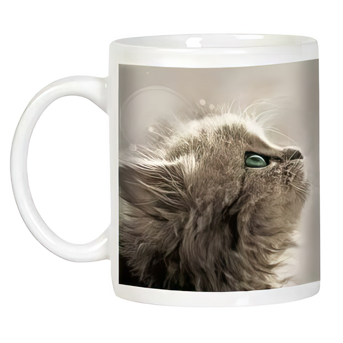 Side view of a white ceramic mug with a fluffy gray kitten with green eyes looking up, alongside the handle.