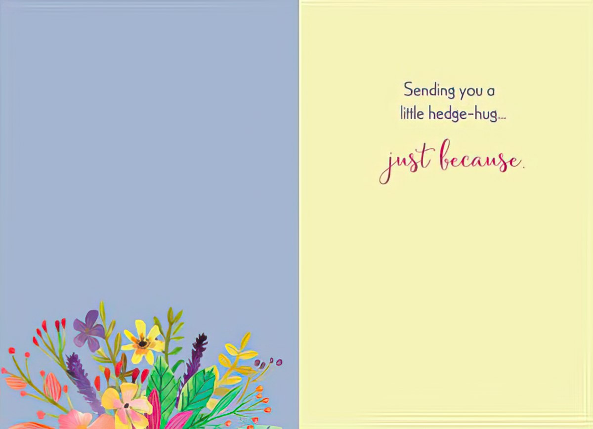 Open greeting card showing a blue left panel with a floral border, and a yellow right panel with the message 'Sending you a little hedge-hug... just because.'