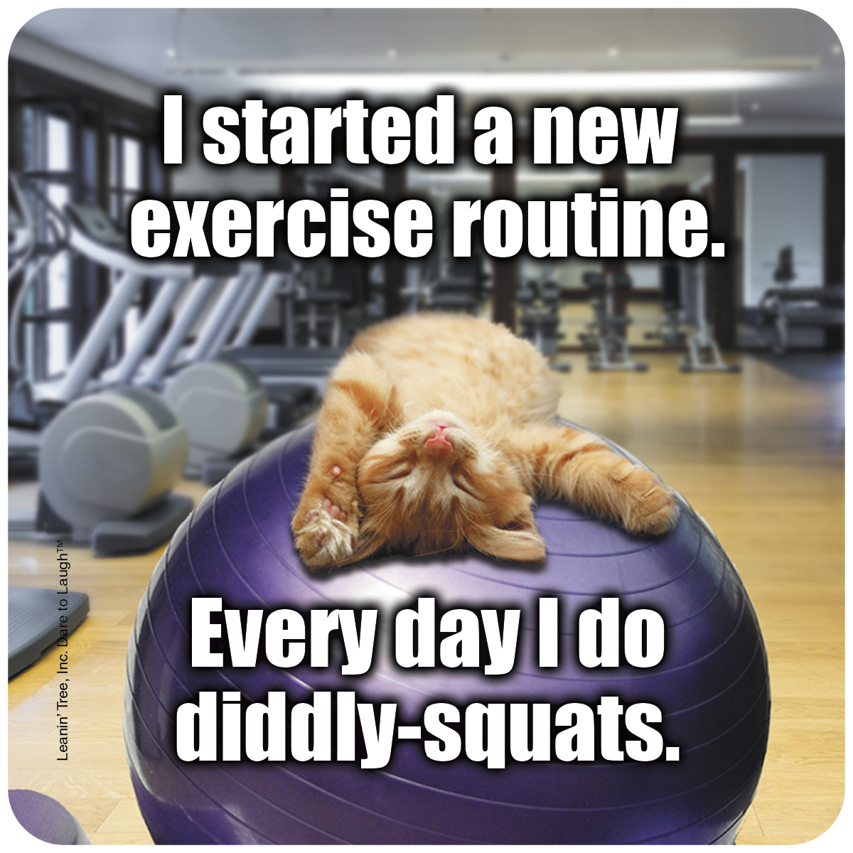 Funny greeting card with an orange kitten sleeping on a purple exercise ball in a gym, text reads: 'I started a new exercise routine. Every day I do diddly-squats.'