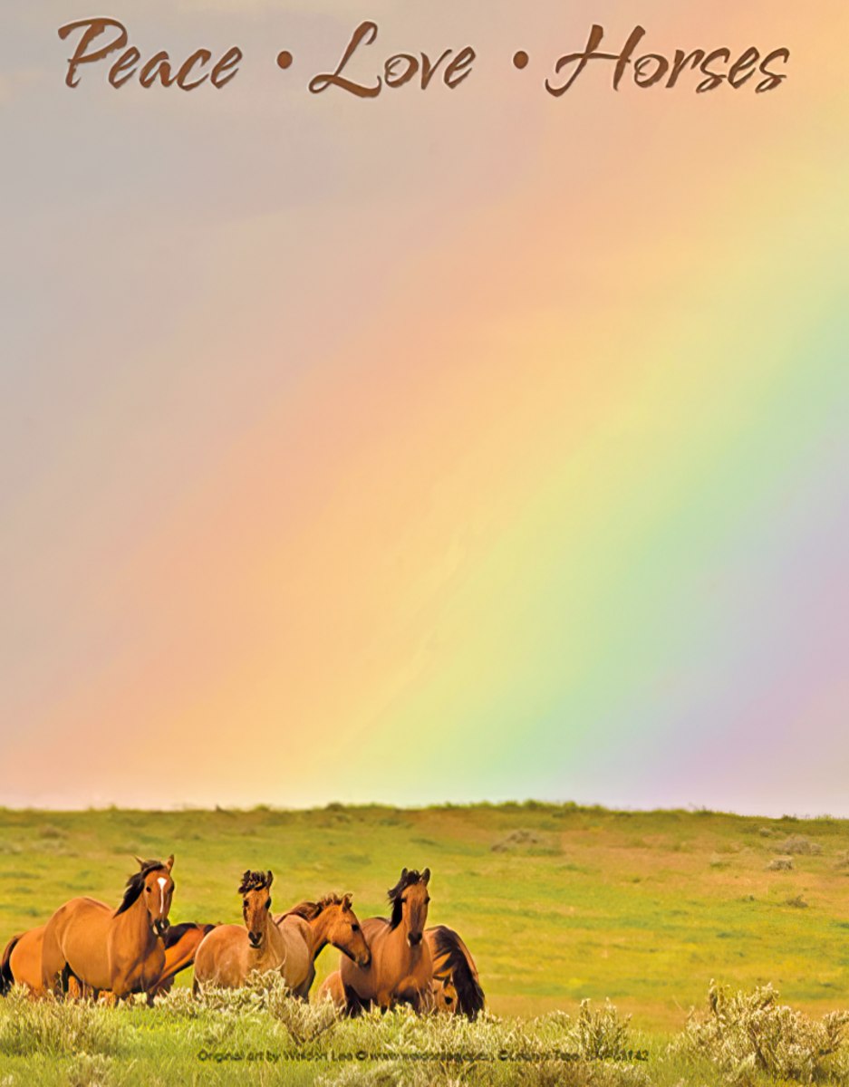Group of horses standing in field with rainbow background