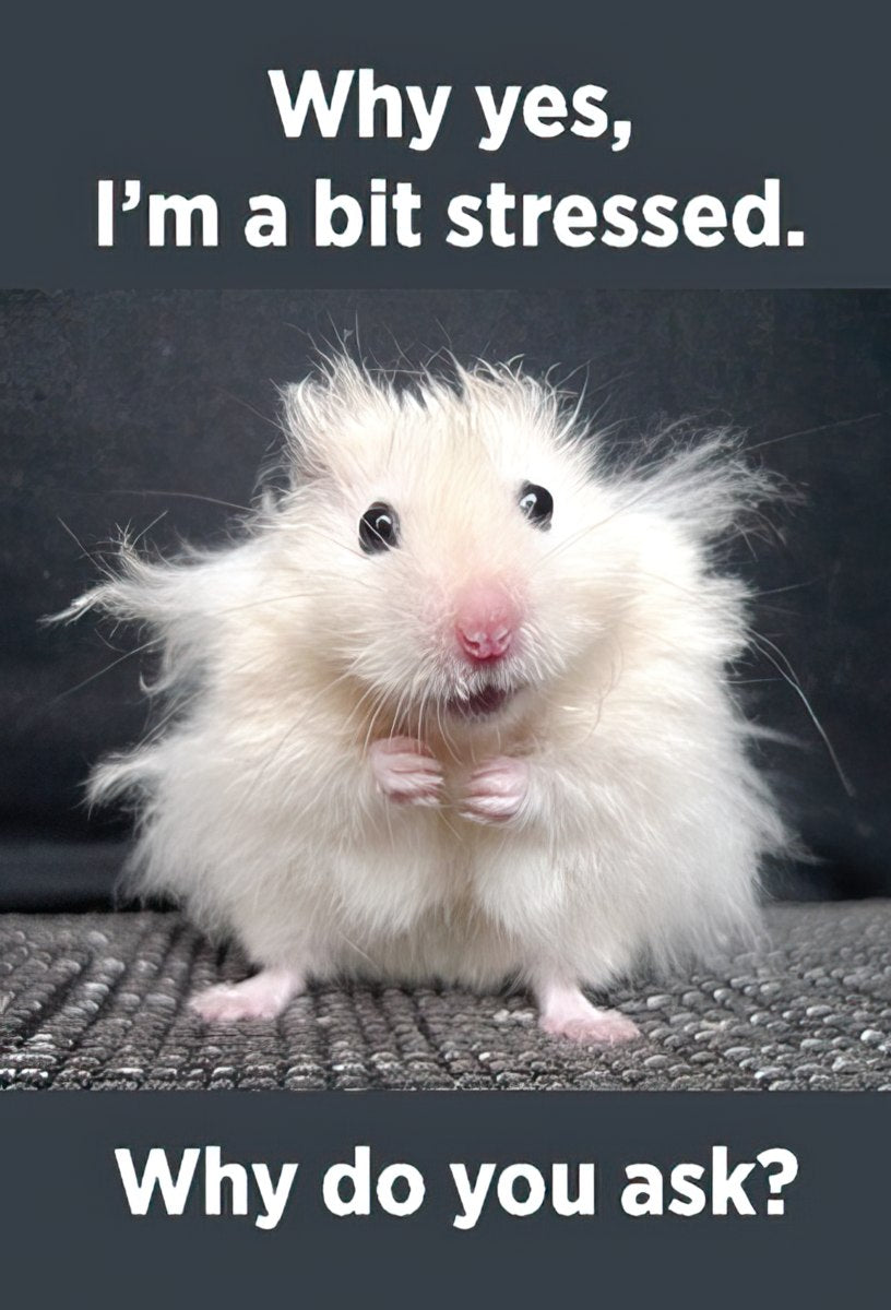 Why yes, I'm a bit stressed. Magnet