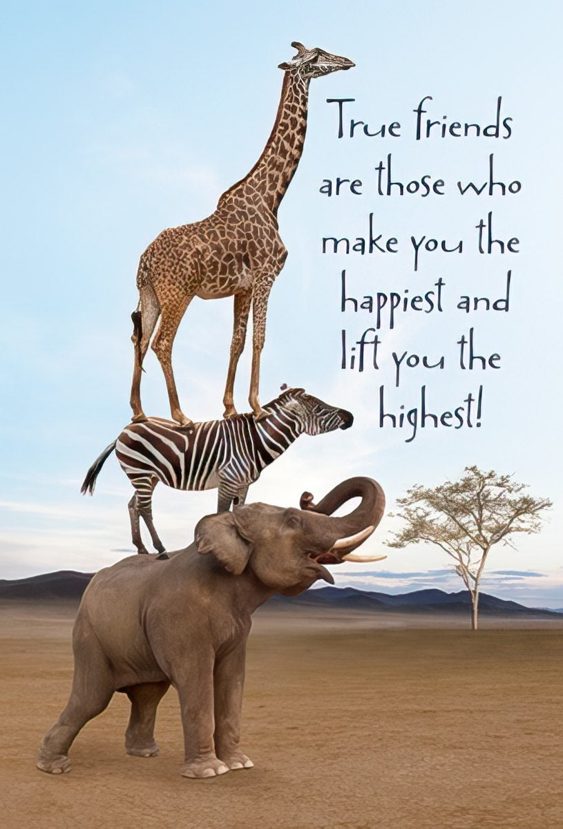 Elephant, zebra, and giraffe stacked in a desert landscape. Friendship quote: 'True friends are those who...lift you the highest!'