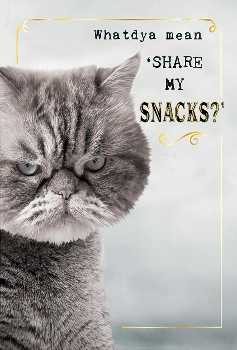 Close-up of a grumpy grey Persian cat with blue eyes, looking annoyed, next to the text 'Whatdya mean "SHARE MY SNACKS?"' with gold accents.