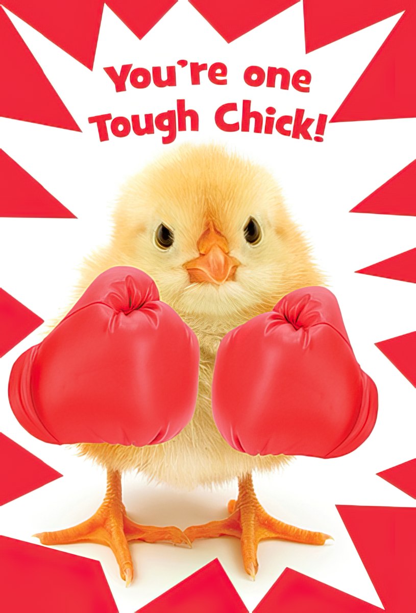 Tough Chick Magnet featuring a cute yellow baby chick wearing red boxing gloves with the encouraging message 'You're one Tough Chick!'