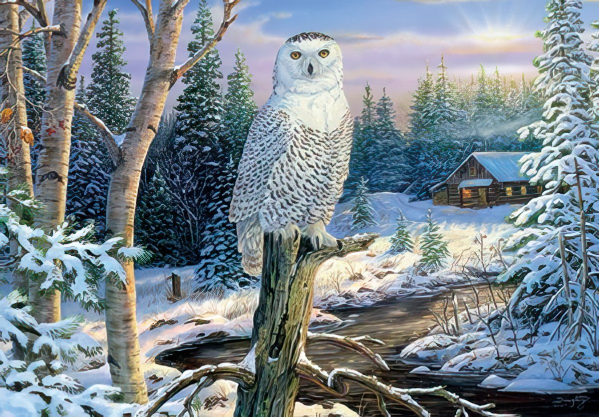Wonder and Beauty of the Season Owl Card