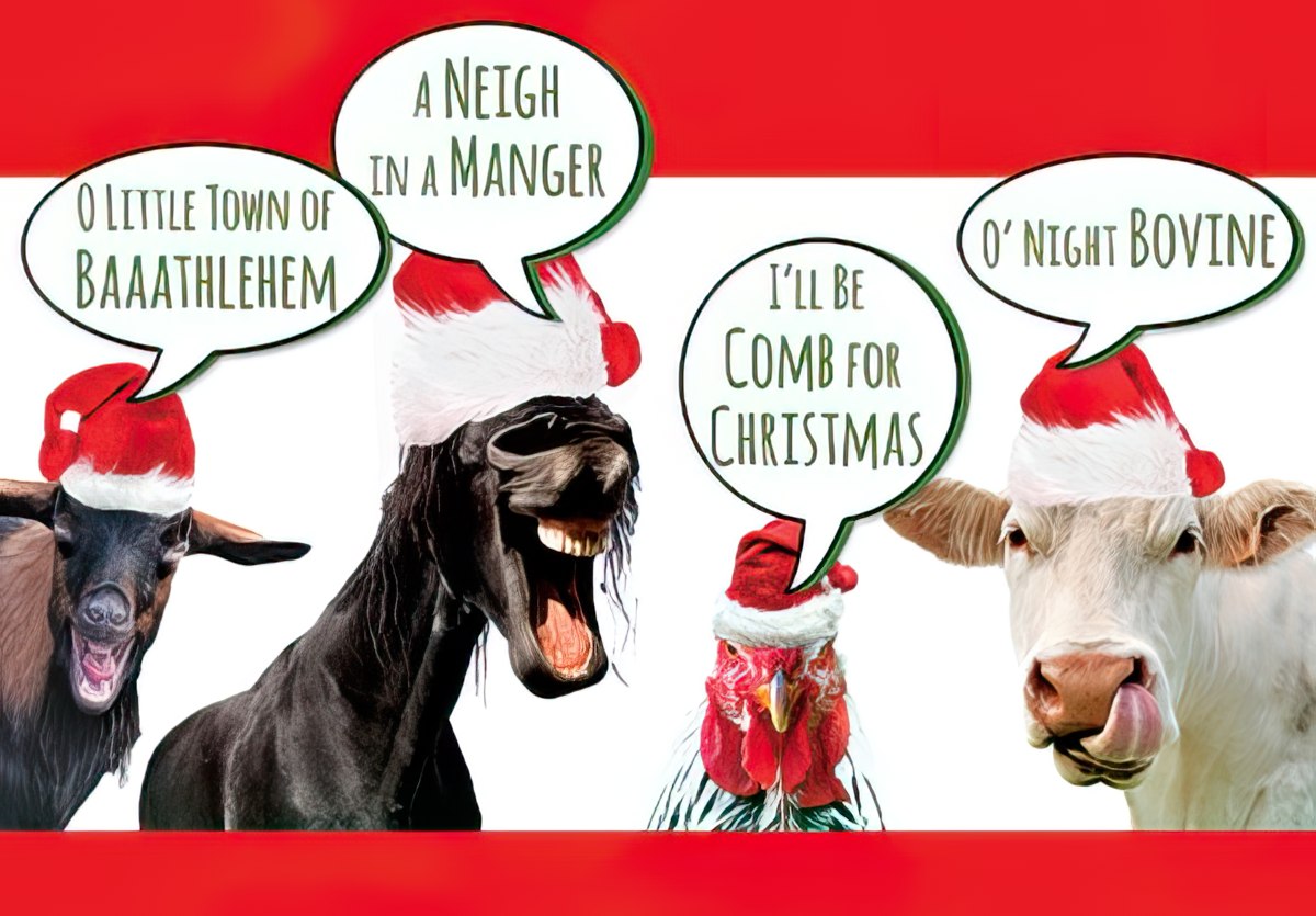 farm animals singing christmas carols