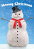 Frosty Fun Snowman Cat Card