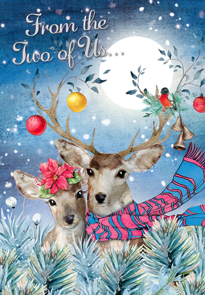 From the Two of Us Whimsical Deer Couple Card
