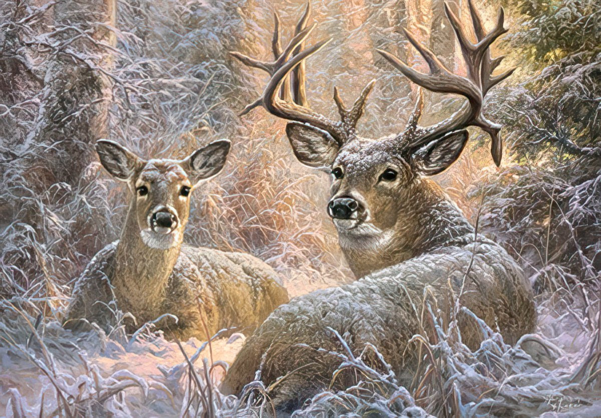 Quiet in the Winter Wood Buck and Doe Deer Card
