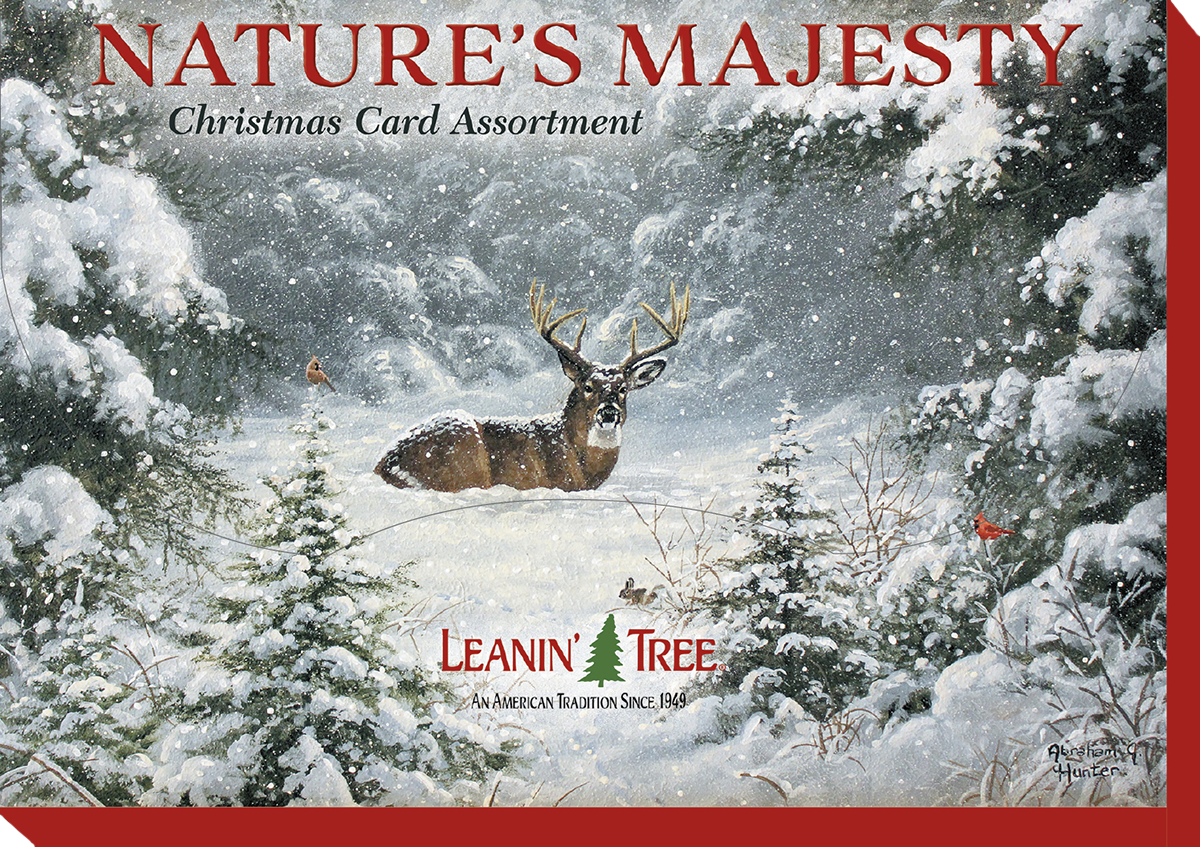 Nature's Majesty Christmas Card Assortment