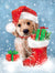 Puppy wearing Santa hat with red boot filled with presents
