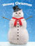 Cat-faced snowman with red scarf and black top hat