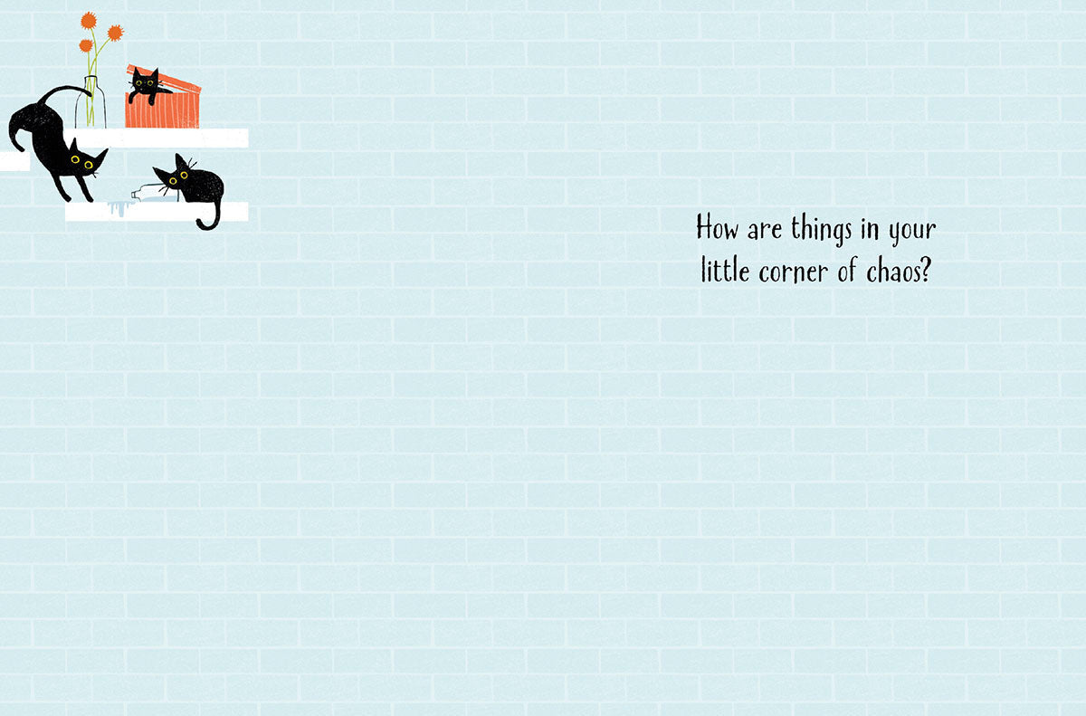 Inside view of the laundry room cat greeting card, blue brick background with text 'How are things in your little corner of chaos?'.