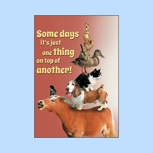 Funny & Lighthearted Encouragement Cards