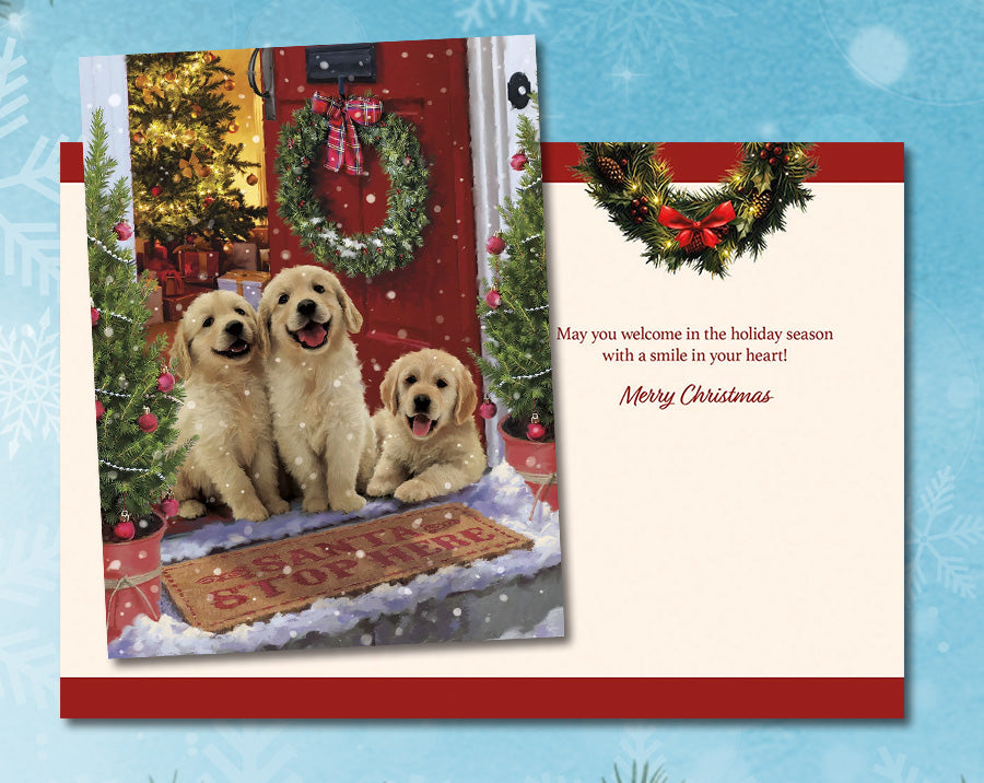 Collections > Christmas Boxed Notelets