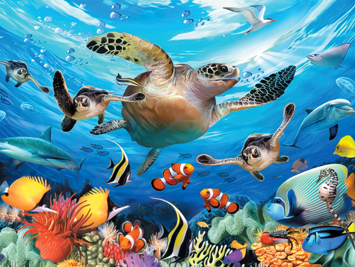 Vibrant underwater birthday card scene with three sea turtles, colorful tropical fish, a shark, dolphin, and coral reef, perfect for a child's celebration.
