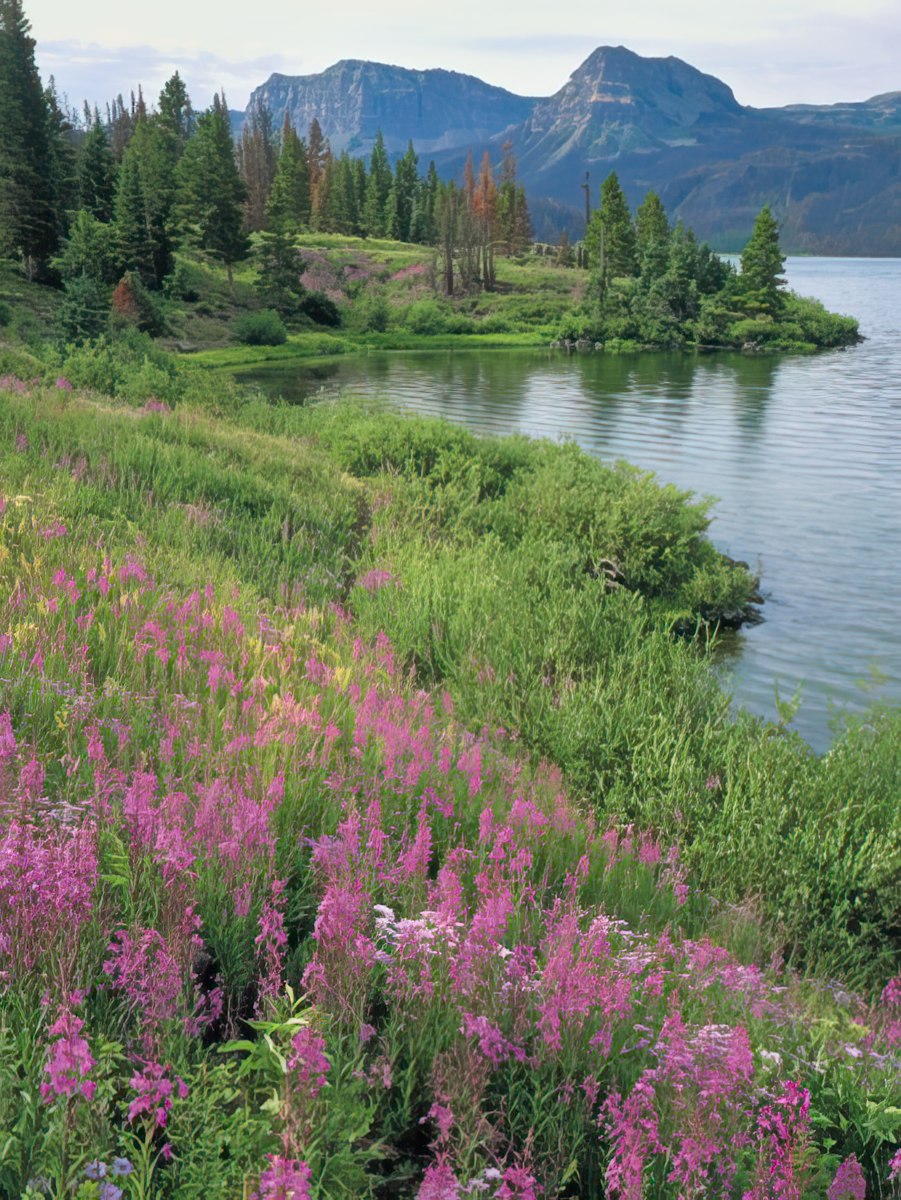 Vivid orange and red mountains reflecting in a calm lake with evergreen trees and intricate grassy shorelines, captured by John Fielder.