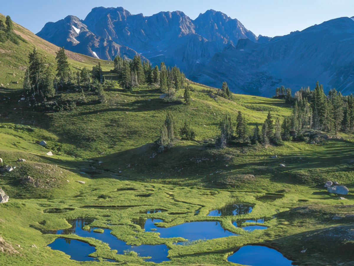 Lush green meadow leading to a calm lake with vibrant pink wildflowers in the foreground and a mountain backdrop, John Fielder's photo.
