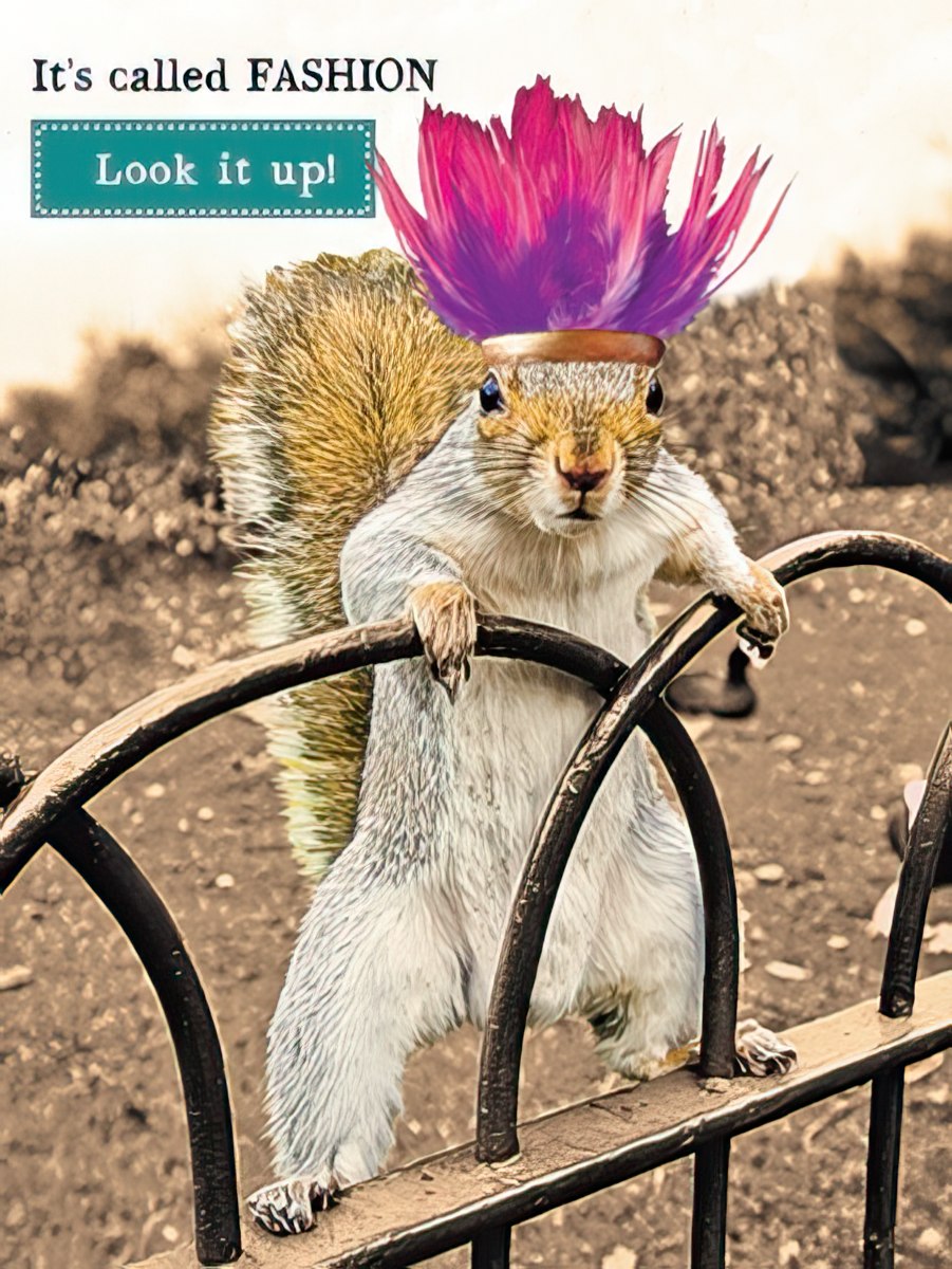 Front of a funny greeting card featuring a squirrel wearing a pink feather hat with the text 'It's called FASHION. Look it up!'.