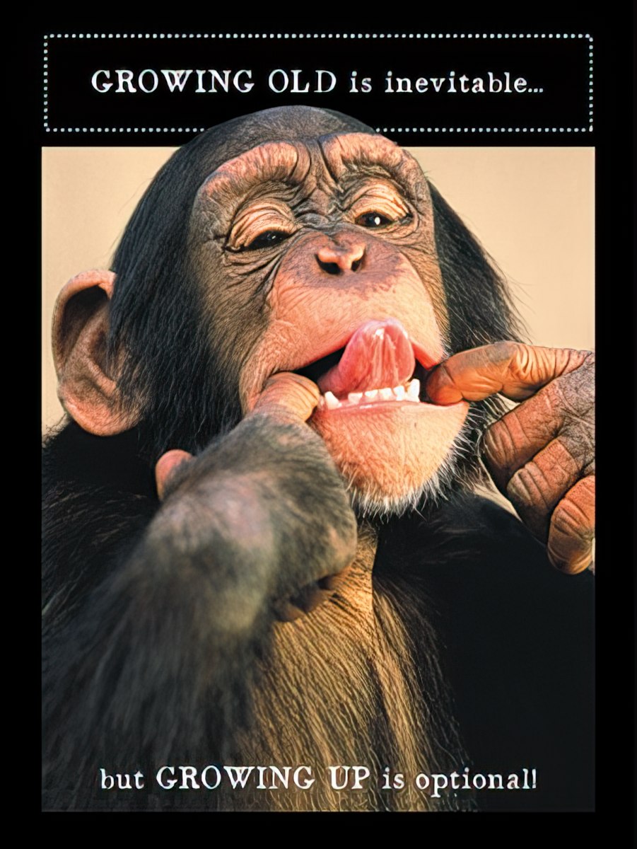 Front of a funny greeting card showing a chimpanzee making a silly face, with the text 'GROWING OLD is inevitable... but GROWING UP is optional!'.