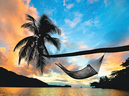 Vibrant sunset beach scene with a hammock hanging from a palm tree over calm water, conveying a peaceful birthday wish.