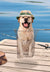 Dog in fishing net with hat