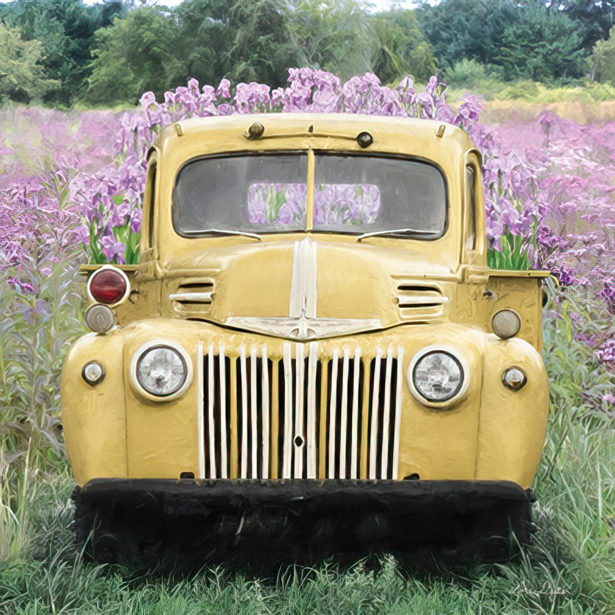 Old Pick-Up Truck with Flowers