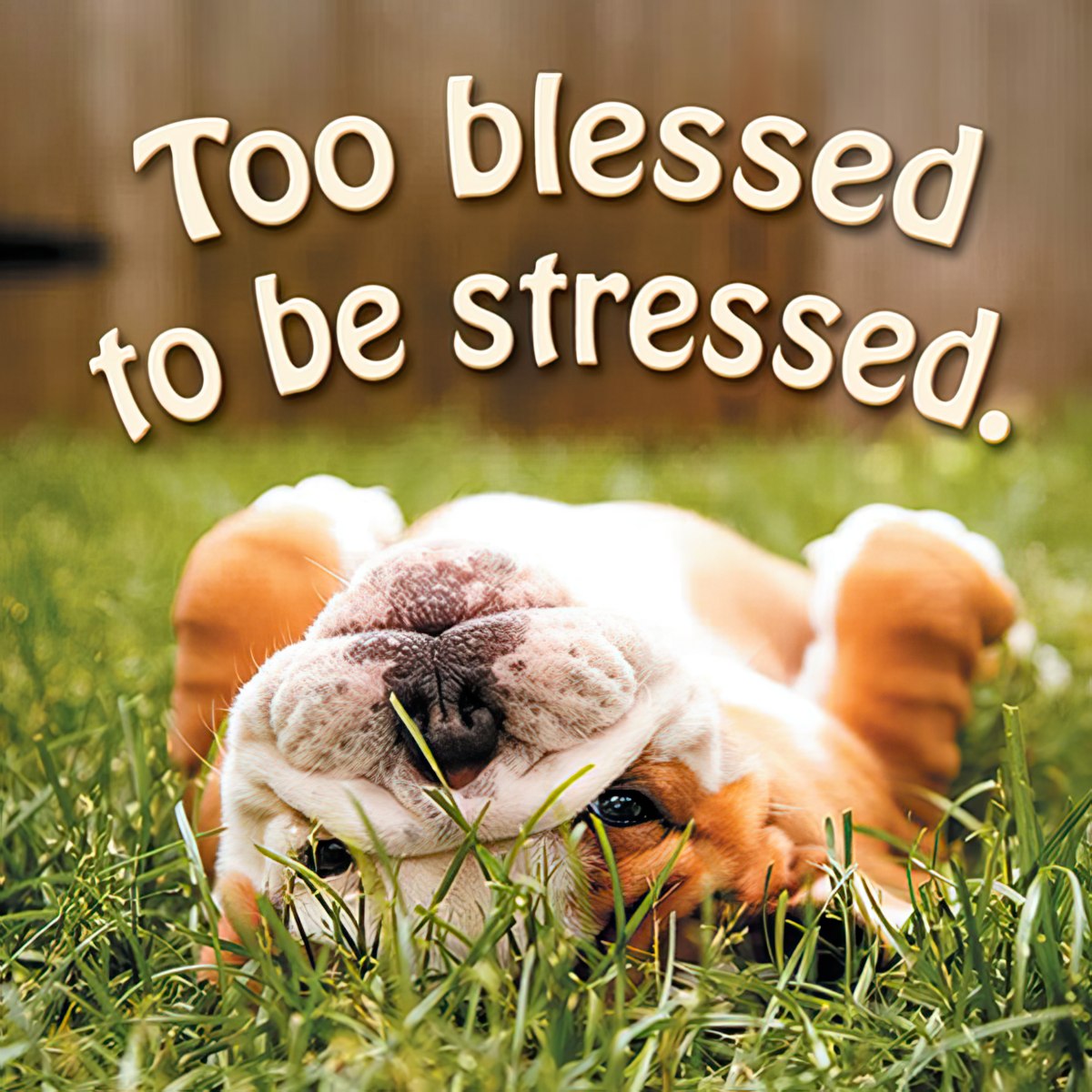 Too blessed to be stressed.