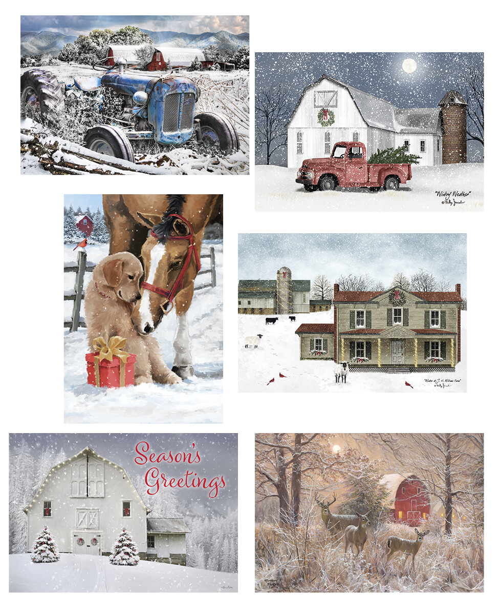 Down on the Farm Christmas Card Value Assortment