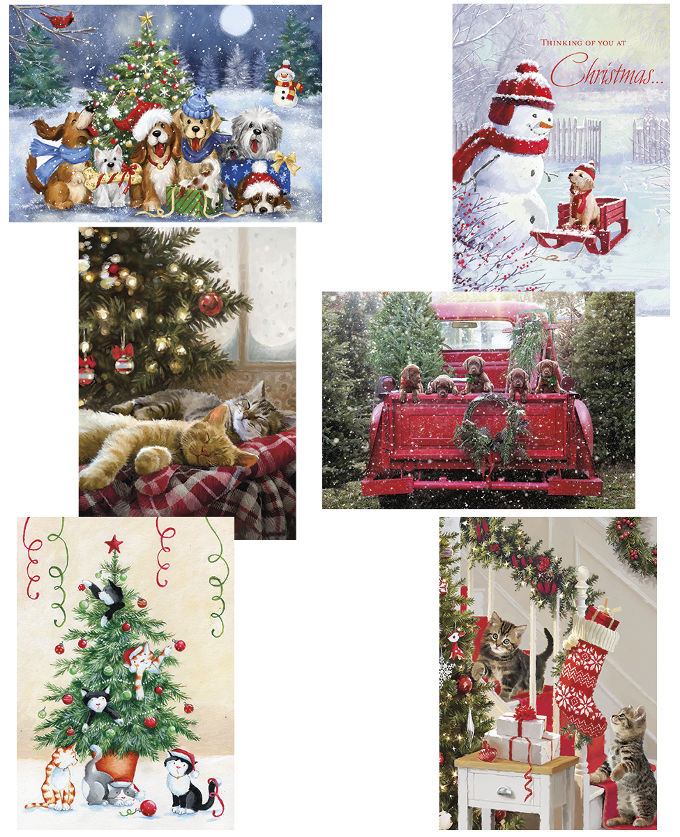 Kittens and Puppies Christmas Value Pack Assortment