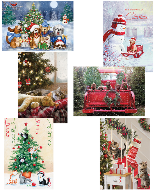 Kittens and Puppies Christmas Value Pack Assortment