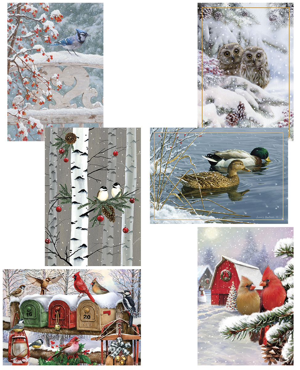 Holiday Birds Christmas Value Pack Assortment