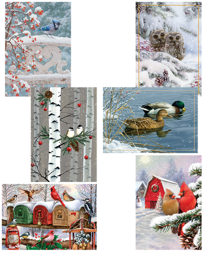 Holiday Birds Christmas Value Pack Assortment