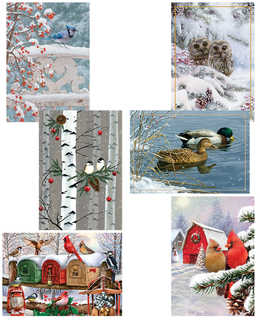 Holiday Birds Christmas Value Pack Assortment