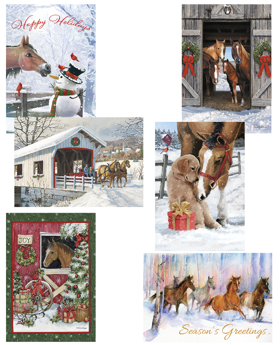 Holiday Horse Christmas Value Pack Assortment